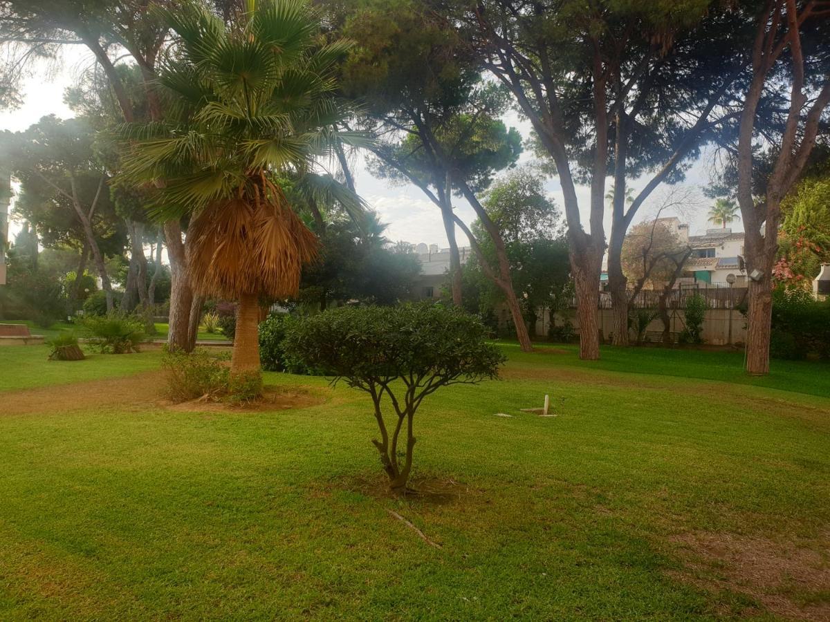 Precioso Estudio Con Piscina A 200M Del Mar Marbella Eksteriør bilde